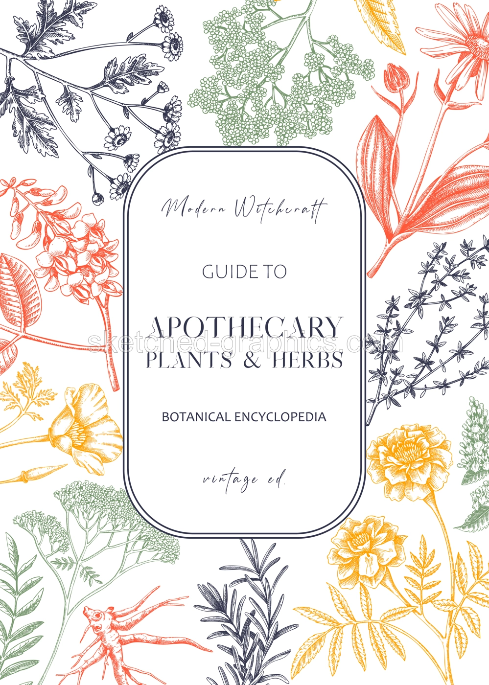 Apothecary plant frame design. Witchcraft background. Herbal remedies, medicinal plant, witch herbs, natural medicine hand-drawn vector illustration. Vinatge card template in color. NOT AI genereted Illustration